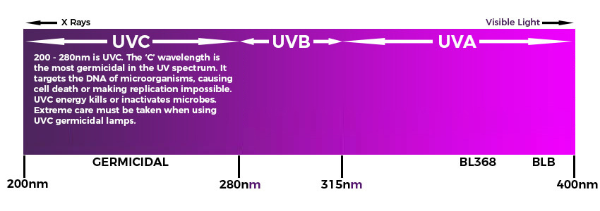 Wavelength_uvC spectrum2